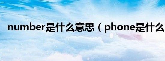 number是什么意思（phone是什么意思）