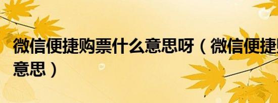 微信便捷购票什么意思呀（微信便捷购票什么意思）