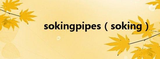 sokingpipes（soking）