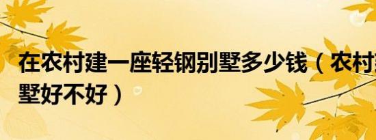 在农村建一座轻钢别墅多少钱（农村建轻钢别墅好不好）