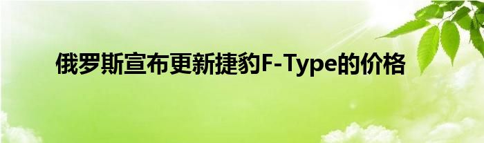 俄罗斯宣布更新捷豹F-Type的价格(图1)