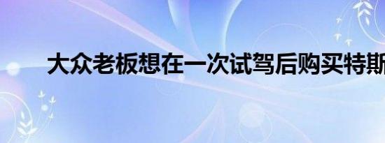 大众老板想在一次试驾后购买特斯拉