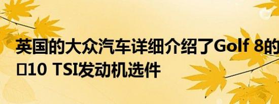 英国的大众汽车详细介绍了Golf 8的入门级​​10 TSI发动机选件