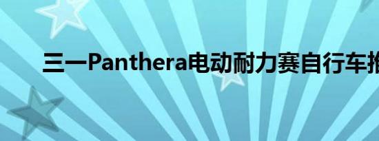 三一Panthera电动耐力赛自行车推出