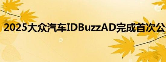 2025大众汽车IDBuzzAD完成首次公开试驾