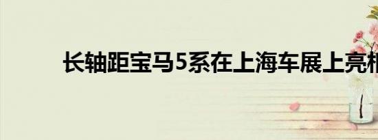 长轴距宝马5系在上海车展上亮相