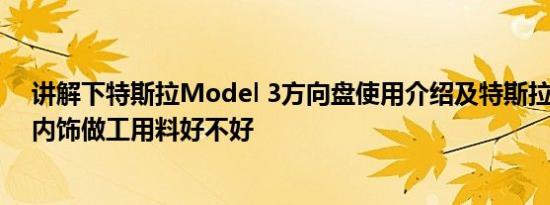 讲解下特斯拉Model 3方向盘使用介绍及特斯拉MODEL3内饰做工用料好不好