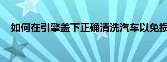 如何在引擎盖下正确清洗汽车以免损坏它