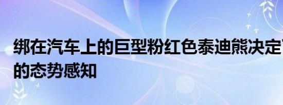 绑在汽车上的巨型粉红色泰迪熊决定了驾驶员的态势感知