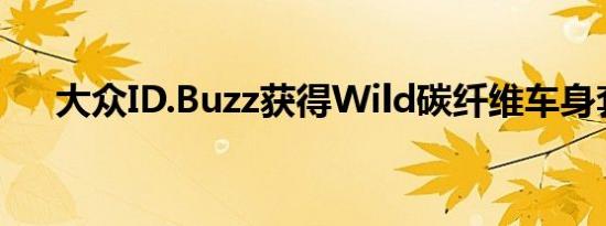 大众ID.Buzz获得Wild碳纤维车身套件