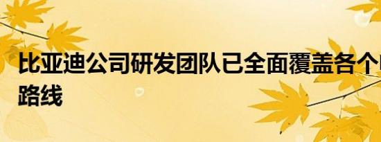 比亚迪公司研发团队已全面覆盖各个电池技术路线