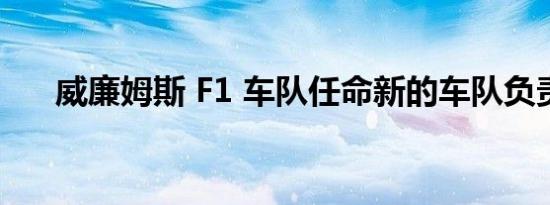 威廉姆斯 F1 车队任命新的车队负责人