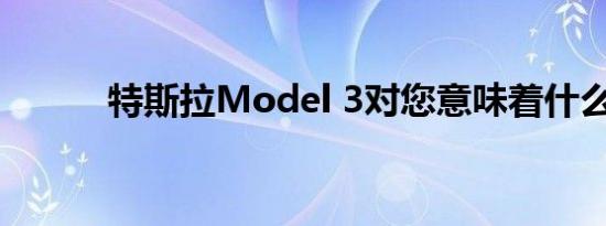 特斯拉Model 3对您意味着什么