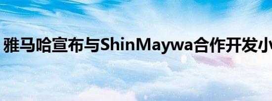 雅马哈宣布与ShinMaywa合作开发小型飞机