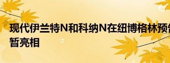 现代伊兰特N和科纳N在纽博格林预告片中短暂亮相