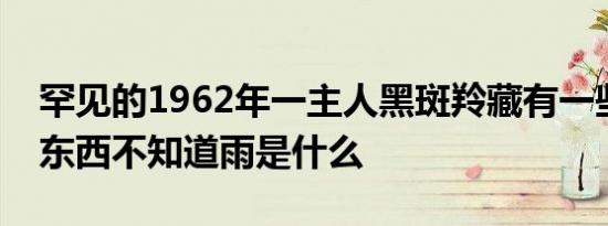 罕见的1962年一主人黑斑羚藏有一些特别的东西不知道雨是什么