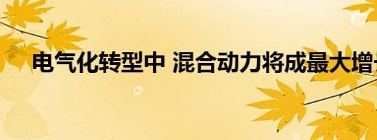 电气化转型中 混合动力将成最大增长点