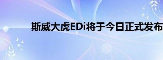 斯威大虎EDi将于今日正式发布