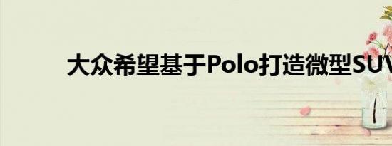 大众希望基于Polo打造微型SUV