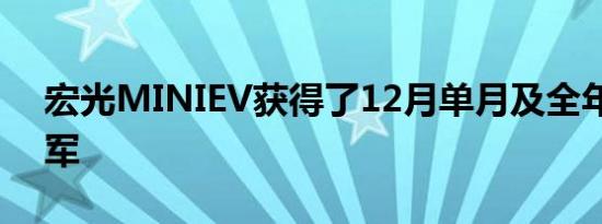 宏光MINIEV获得了12月单月及全年销量冠军