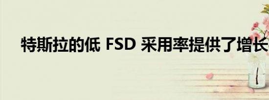 特斯拉的低 FSD 采用率提供了增长机会