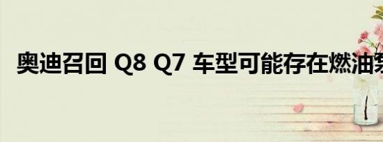 奥迪召回 Q8 Q7 车型可能存在燃油泵故障