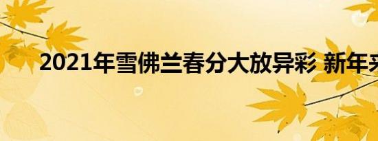 2021年雪佛兰春分大放异彩 新年来临