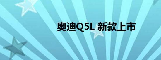 奥迪Q5L 新款上市