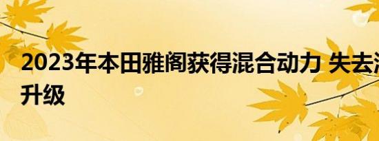 2023年本田雅阁获得混合动力 失去涡轮增压升级