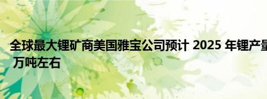 全球最大锂矿商美国雅宝公司预计 2025 年锂产量可达到 20 万吨左右