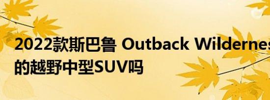 2022款斯巴鲁 Outback Wilderness是最好的越野中型SUV吗