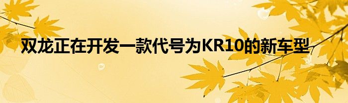 双龙正在开发一款代号为KR10的新车型(图1)