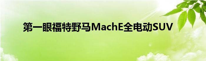 第一眼福特野马MachE全电动SUV(图1)