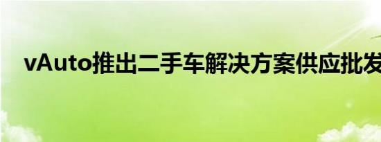 vAuto推出二手车解决方案供应批发中心