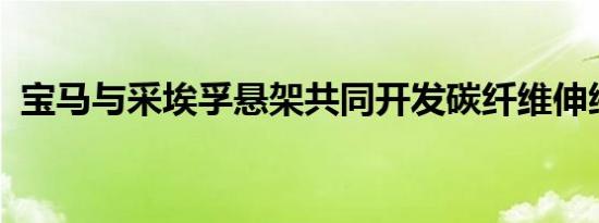 宝马与采埃孚悬架共同开发碳纤维伸缩前叉