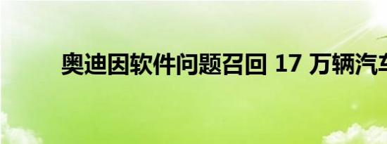 奥迪因软件问题召回 17 万辆汽车