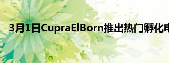 3月1日CupraElBorn推出热门孵化电动车