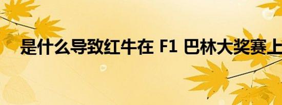 是什么导致红牛在 F1 巴林大奖赛上退赛