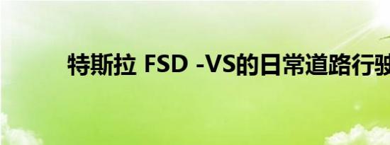 特斯拉 FSD -VS的日常道路行驶