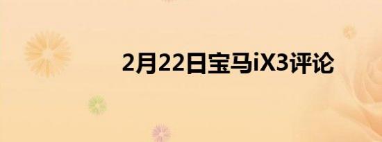 2月22日宝马iX3评论