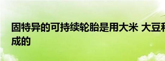 固特异的可持续轮胎是用大米 大豆和松树制成的