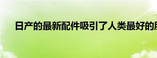 日产的最新配件吸引了人类最好的朋友