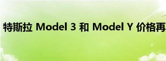 特斯拉 Model 3 和 Model Y 价格再次上涨