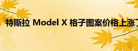 特斯拉 Model X 格子图案价格上涨了很多