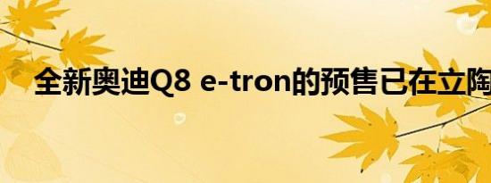 全新奥迪Q8 e-tron的预售已在立陶宛开