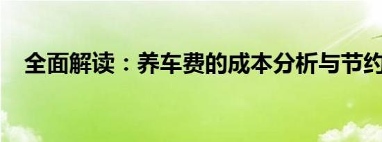 全面解读：养车费的成本分析与节约策略