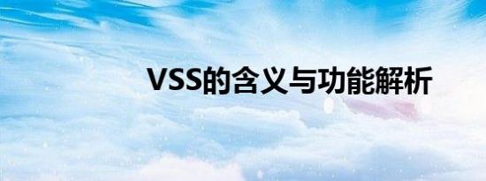 VSS的含义与功能解析