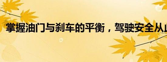 掌握油门与刹车的平衡，驾驶安全从此开始