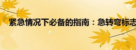 紧急情况下必备的指南：急转弯标志详解