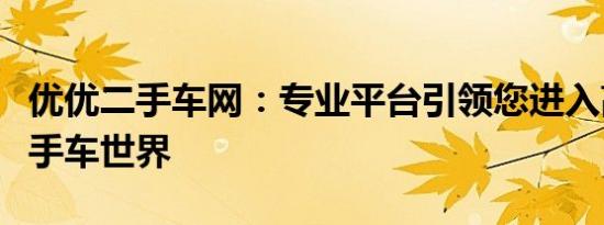 优优二手车网：专业平台引领您进入高质量二手车世界